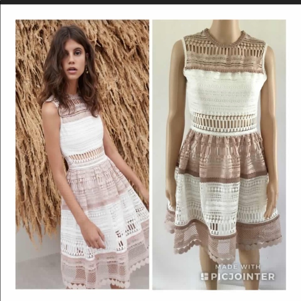 Alexis White & Tan Lace Dress